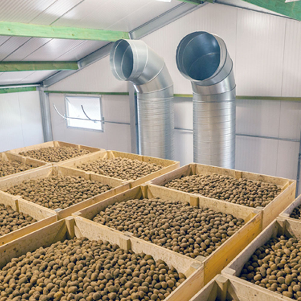 quadro compact cooler