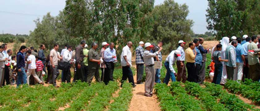 invitation-field-day-2010-1