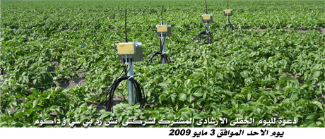 invitation web arabic