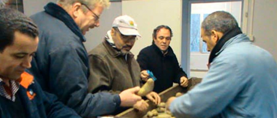 Inspection HZPC Seed Potatoes 2010/2011