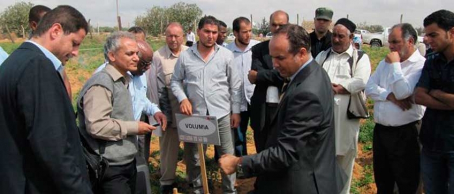 NedaLibya Field Day 7 June 2012