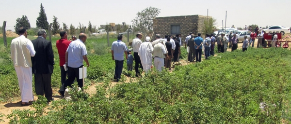 Invitation second Field Day 20 June 2013