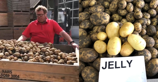 Harvest Jelly and Donata on National Harvest Day 4 September 2021