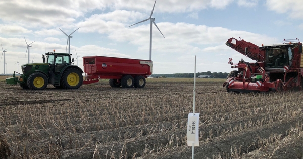 Harvest time Jelly and Donata Netherlands